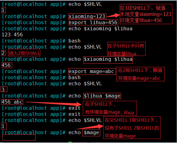 linux 基礎（8）—— 變量