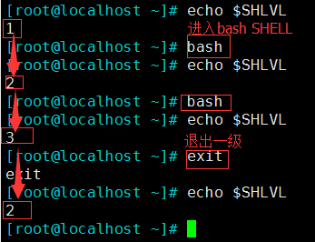 linux 基礎（8）—— 變量