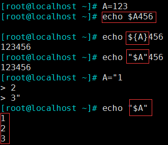 linux 基礎（8）—— 變量