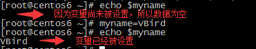 shell的變量功能