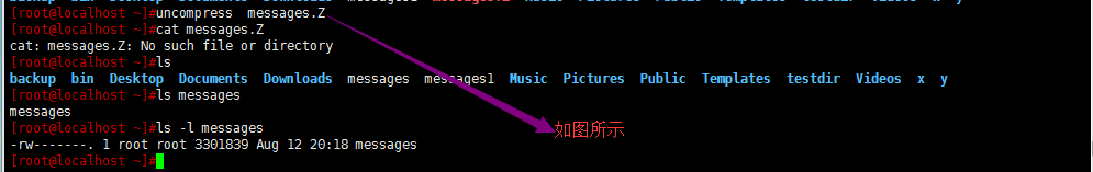 查找find及壓縮與解壓