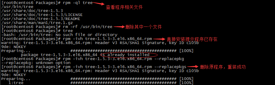 rpm軟件包管理