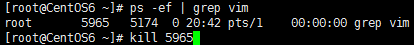 linux命令   kill命令詳則