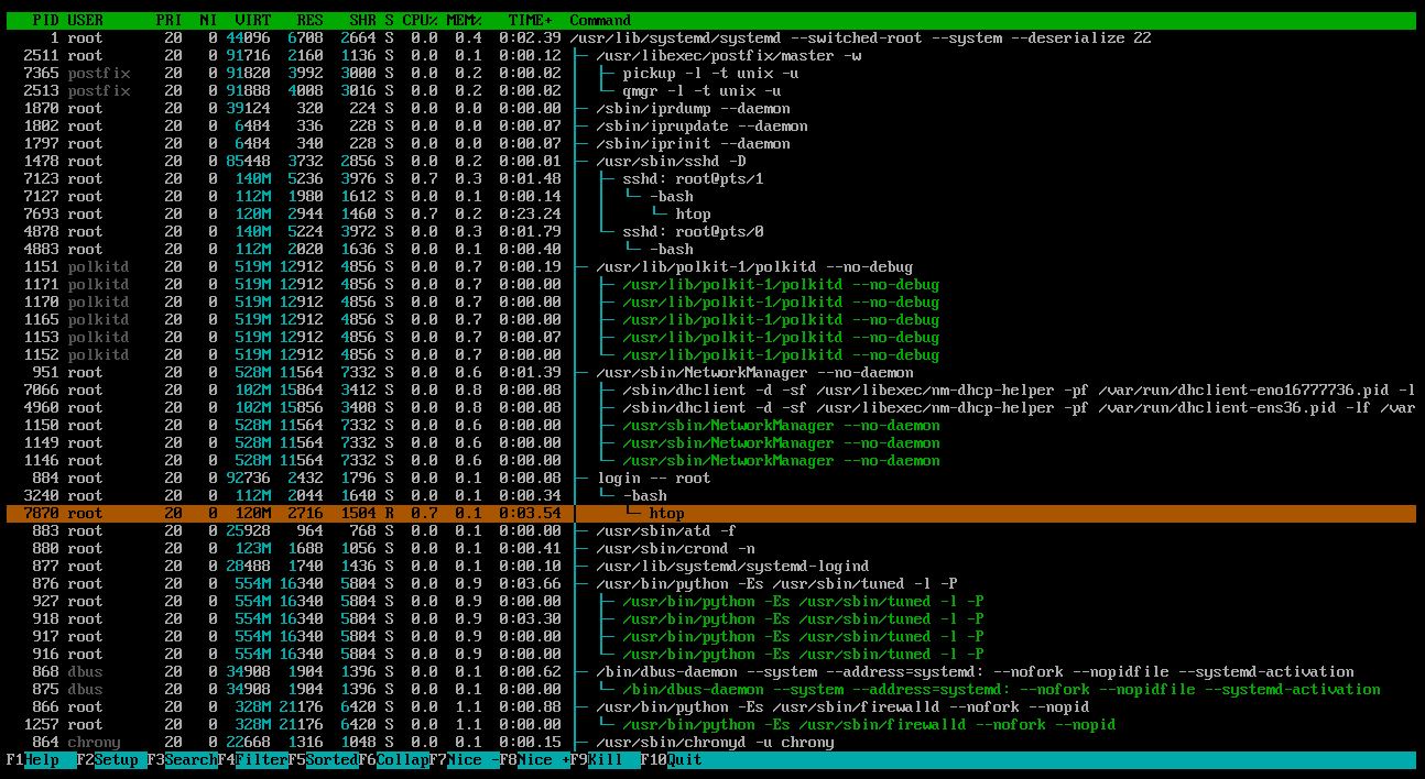 htop7